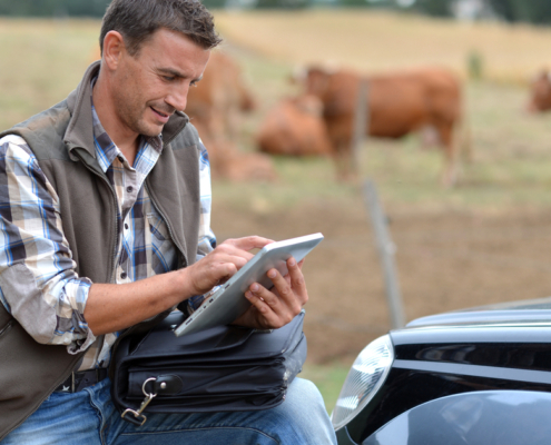 CCIA testing new RFID scanner to simplify cattle movement reporting